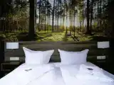 Двухместный номер Стандарт