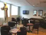 Одноместный люкс Premium