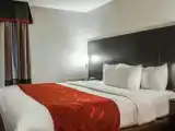 Одноместный люкс