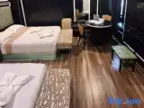 Семейный номер Стандарт