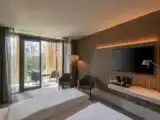 Двухместный номер Deluxe с балконом