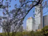 Клубный люкс c 1 комнатой с видом на город