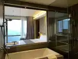 Двухместный номер Premier с красивым видом из окна