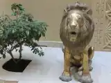 Одноместный номер Стандарт