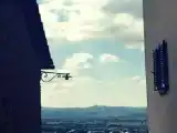 Run of House