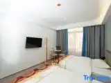 Номер Premium