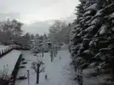 Трёхместный номер Стандарт