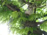 Двухместный номер Стандарт с балконом