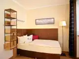Одноместный номер Premium