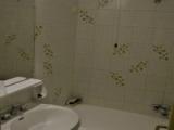 Двухместный номер Стандарт с балконом и с красивым видом из окна