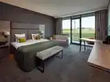 Двухместный номер Deluxe