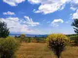 Апартаменты c 1 комнатой