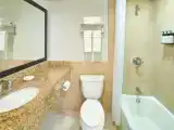 Двухместный полулюкс Deluxe с балконом