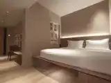 Двухместный номер Premier