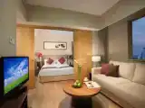 Апартаменты Deluxe c 1 комнатой