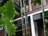 Run of House