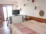 Студия с видом на сад