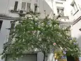 Двухместный номер Стандарт с балконом