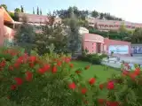 Run of House