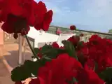 Четырёхместный номер Стандарт с видом на море