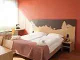 Семейный номер Superior