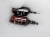 Двухместный номер Deluxe с видом на парк