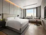 Двухместный Club Lounge Access номер