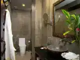 Двухместный номер Deluxe