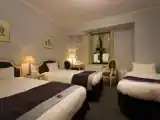 Трёхместный номер Donau Classic
