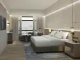 Двухместный номер Deluxe с видом на город