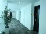 Трёхместный номер Deluxe