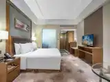 Двухместный номер Deluxe Business