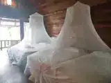 Бунгало Стандарт
