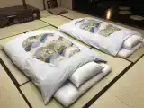 Run of House