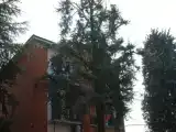Run of House