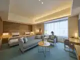 Двухместный полулюкс Premier