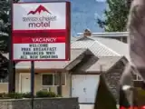 Run of House