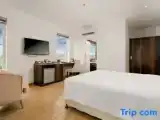 Полулюкс