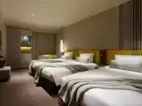 Трёхместный номер Стандарт