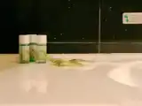 Двухместный номер Business