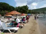 Трёхместный номер Стандарт с видом на сад