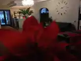 Run of House