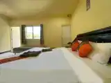 Номер Superior с видом на сад