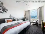 Двухместный номер (standard floor) Superior