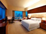 Двухместный номер Club Lounge Access Executive