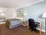 Run of House