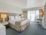 Люкс Business