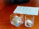 Номер Эконом