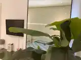 Номер Superior