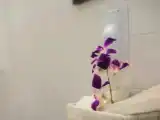 Номер Executive